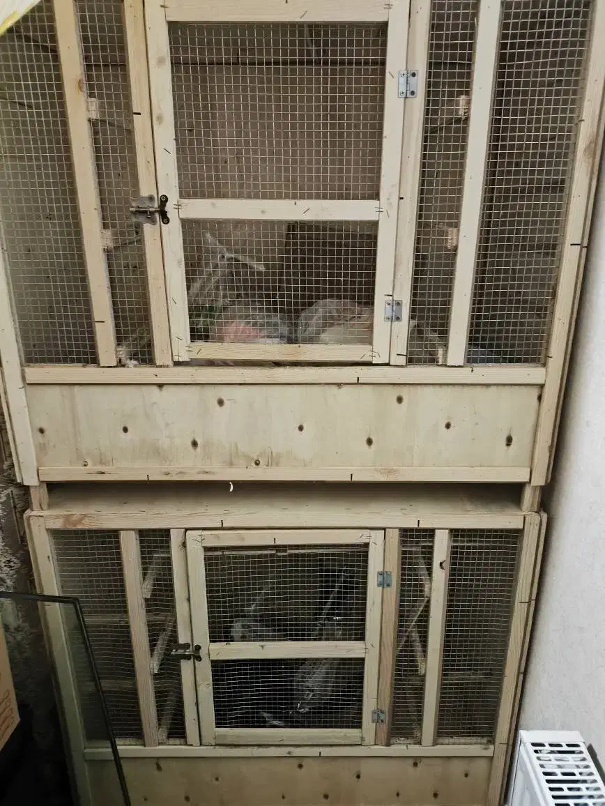 جفت کن دوطبقه|لوازم جانبی حیوانات|گرمدره, |دیوار