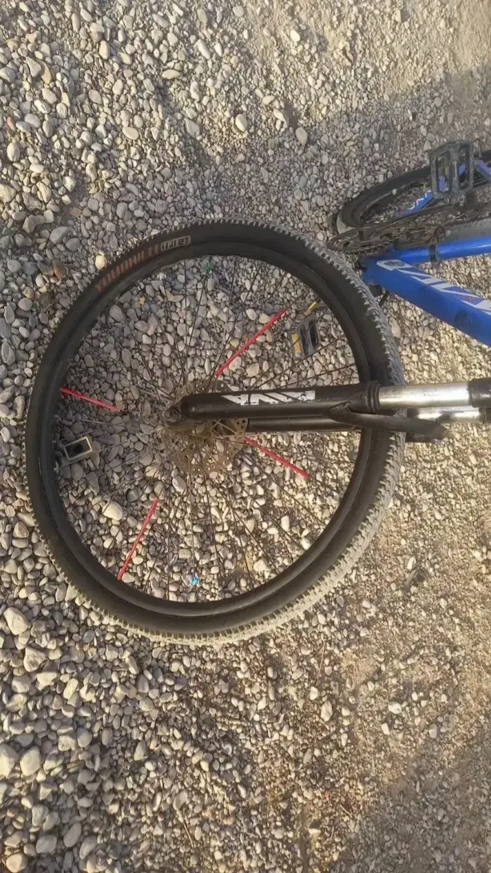 دورچه|دوچرخه، اسکیت، اسکوتر|حاجی آباد, |دیوار