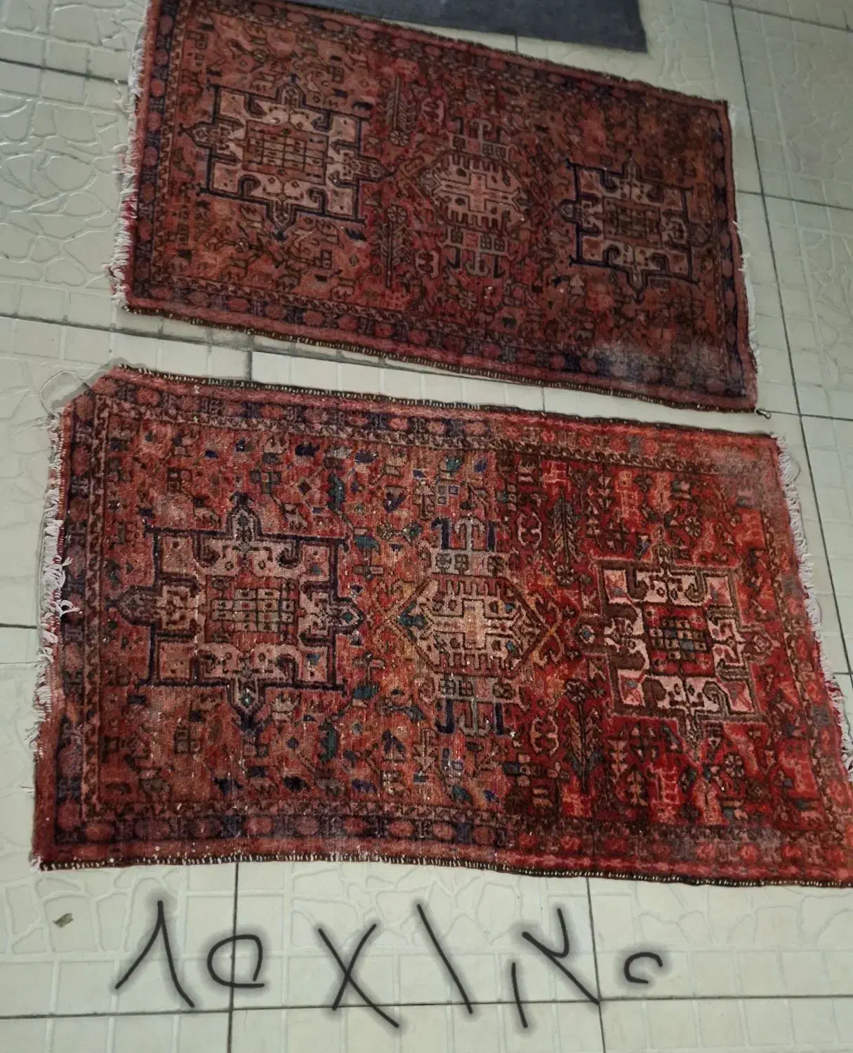 موکت و فرش ماشینی|موکت|تبریز, |دیوار