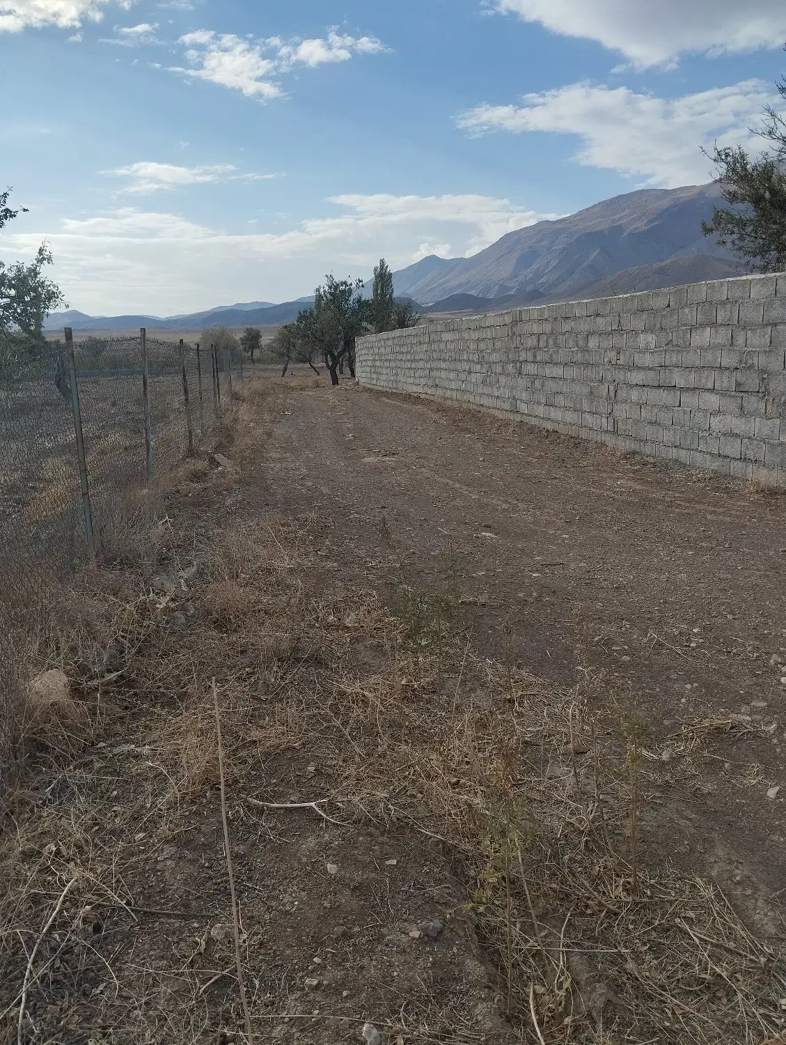 زمین در روستای سرکندیزج|فروش زمین و ملک کلنگی|صوفیان, |دیوار