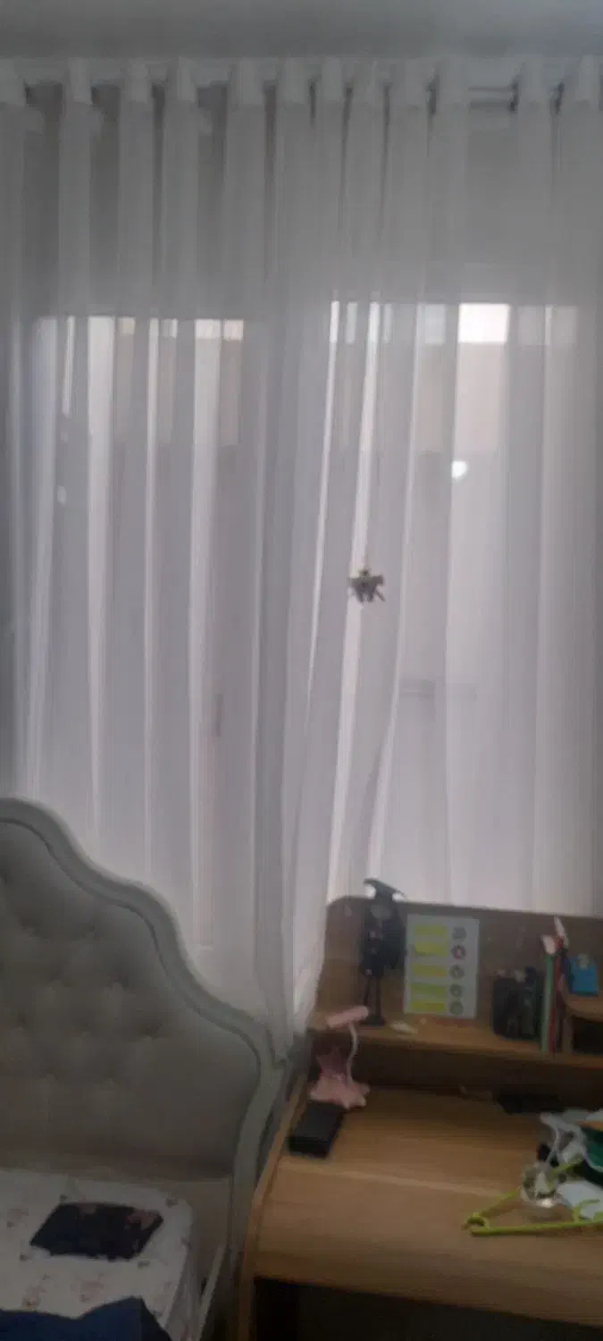 فرش چهار متری وپرده پانچ|فرش|فردیس, نسترن غربی|دیوار