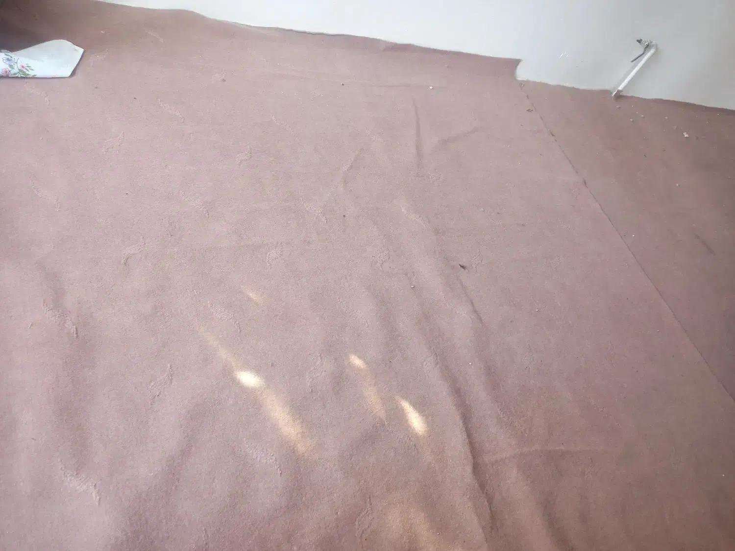 موکت کارکرده|موکت|تبریز, |دیوار