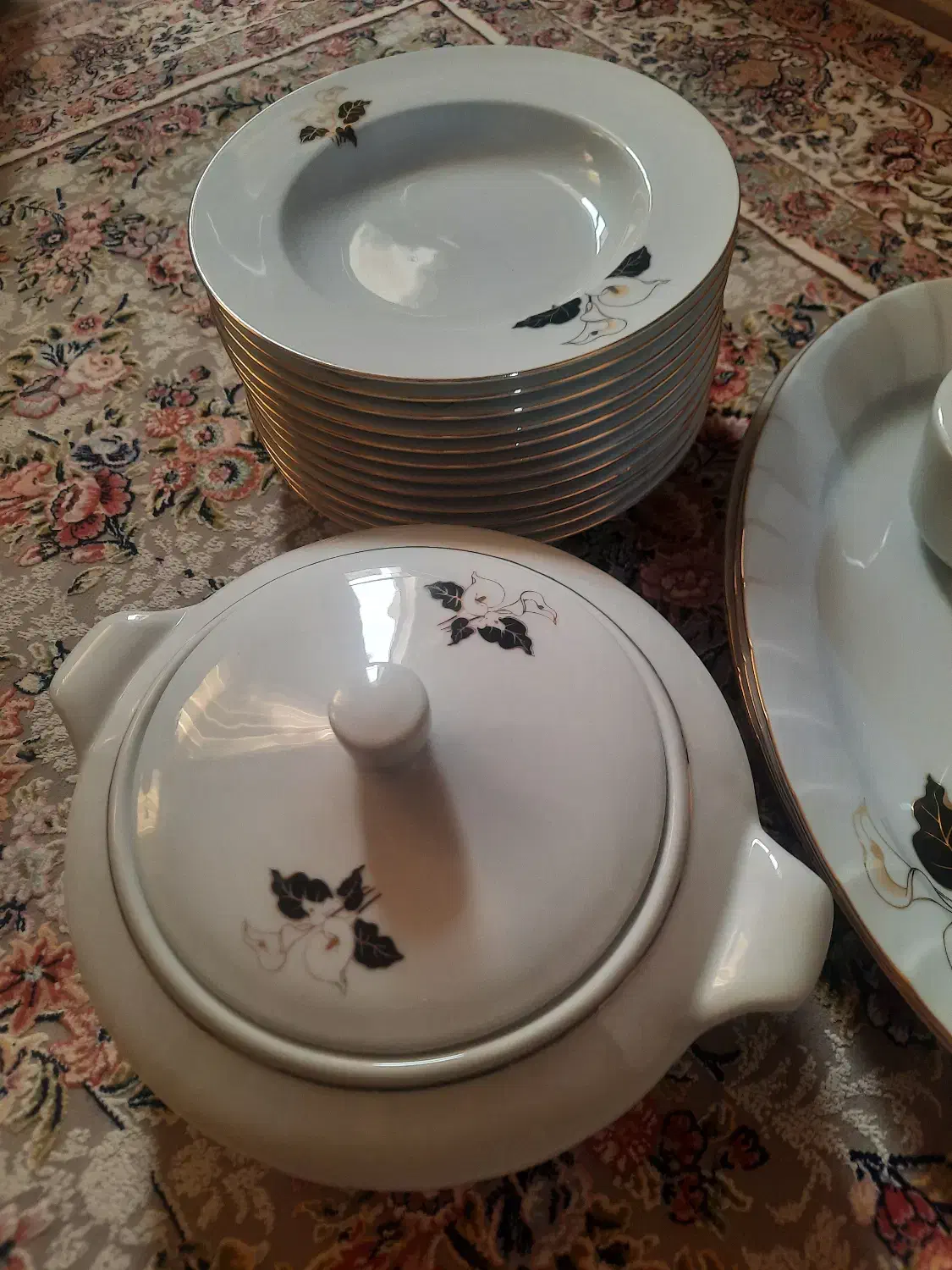 چینی زرین|ظروف سرو و پذیرایی|پاکدشت, پاکدشت (مامازند)|دیوار