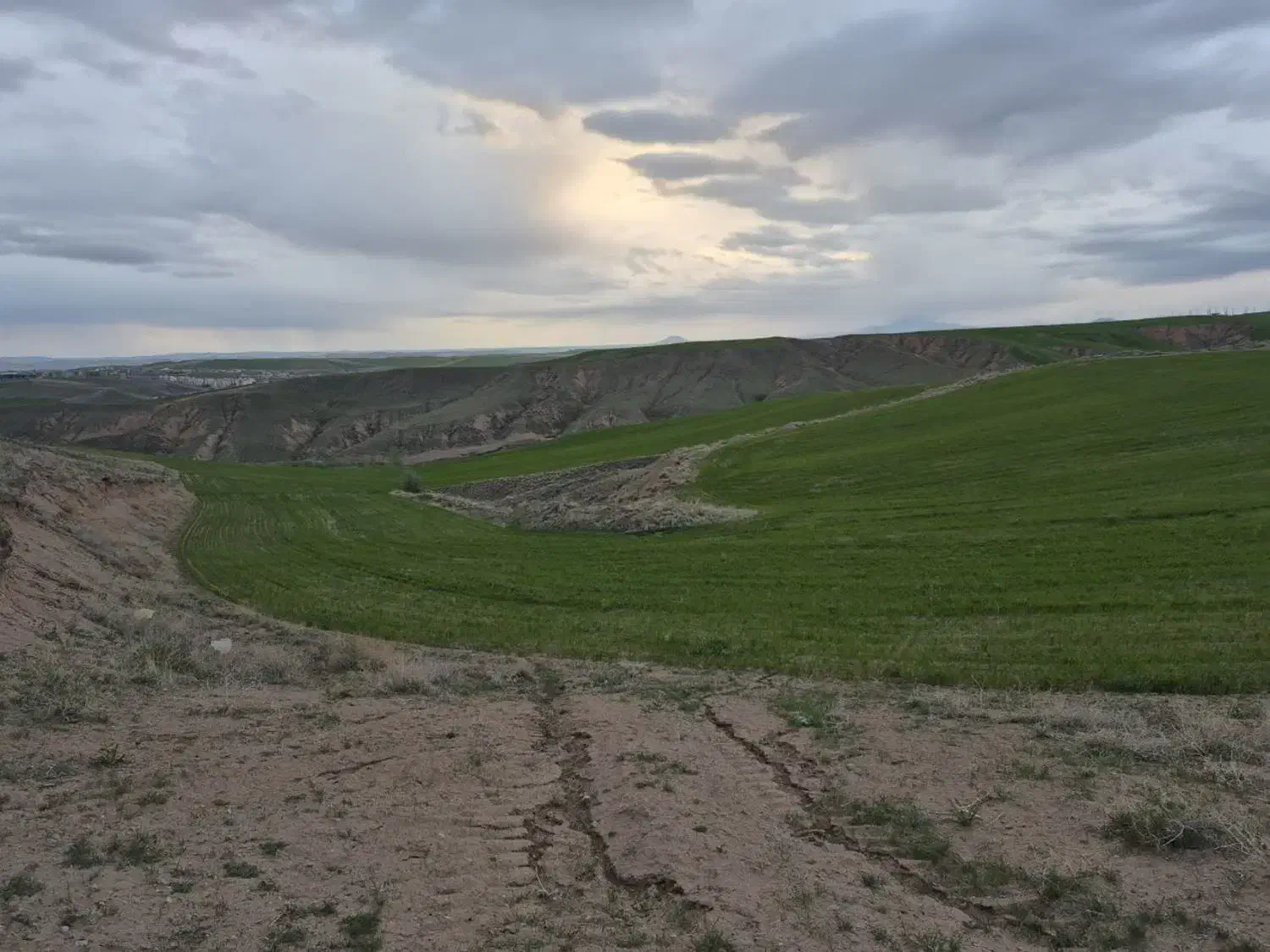 زمین کشاورزی وباغ با آب دائمی|اجارهٔ دفتر صنعتی، کشاورزی، تجاری|هشترود, |دیوار