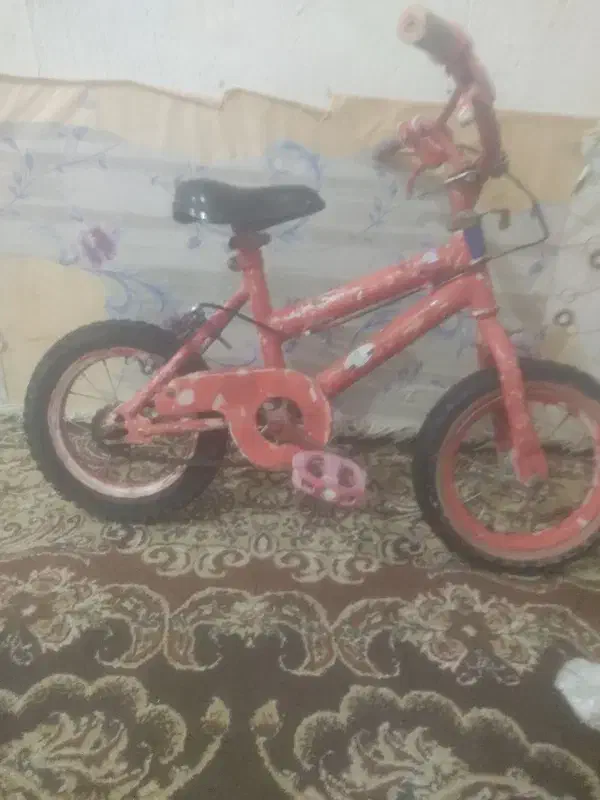 دوچرخه|دوچرخه، اسکیت، اسکوتر|کوهمره, |دیوار