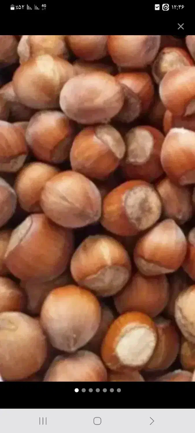 فندوق امساله ارگانیک ۹۰۰تومان|خوردنی و آشامیدنی|قم, پردیسان|دیوار