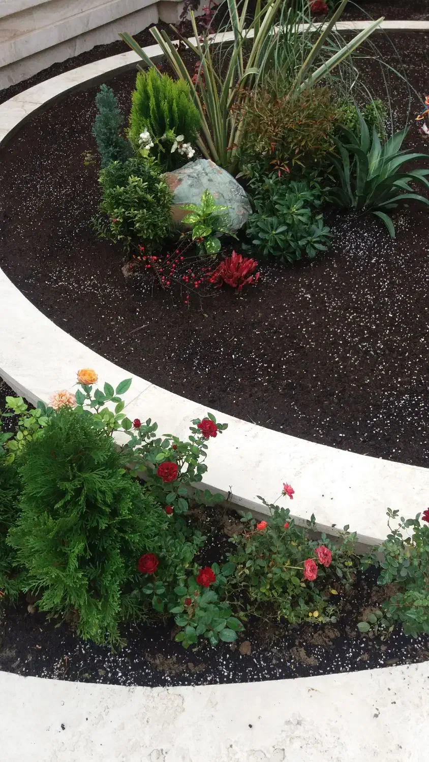 کود گوسفند ی پوسیده|گل و گیاه طبیعی|تهران, ستارخان|دیوار