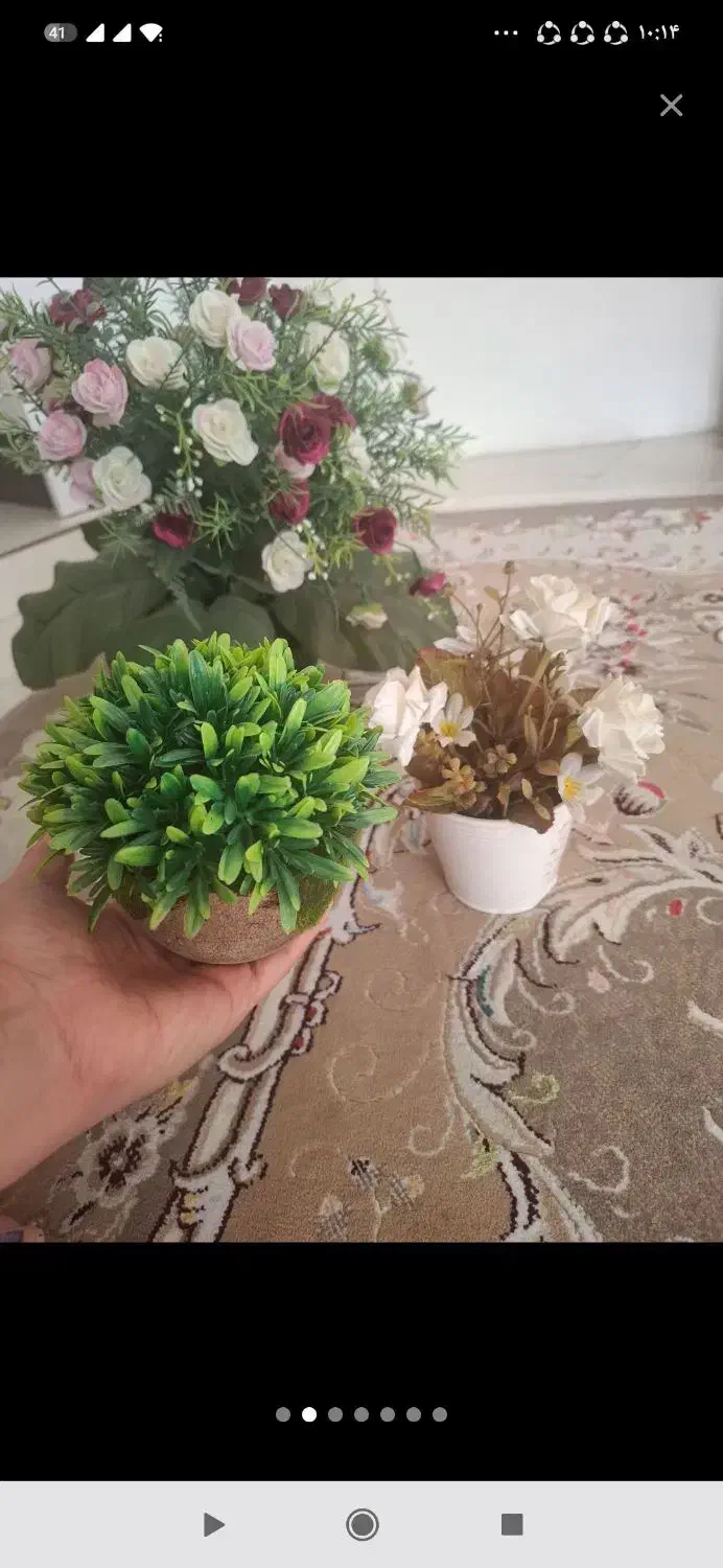 5 عدد گل های زیبا و رنگارنگ|گل مصنوعی|قزوین, |دیوار