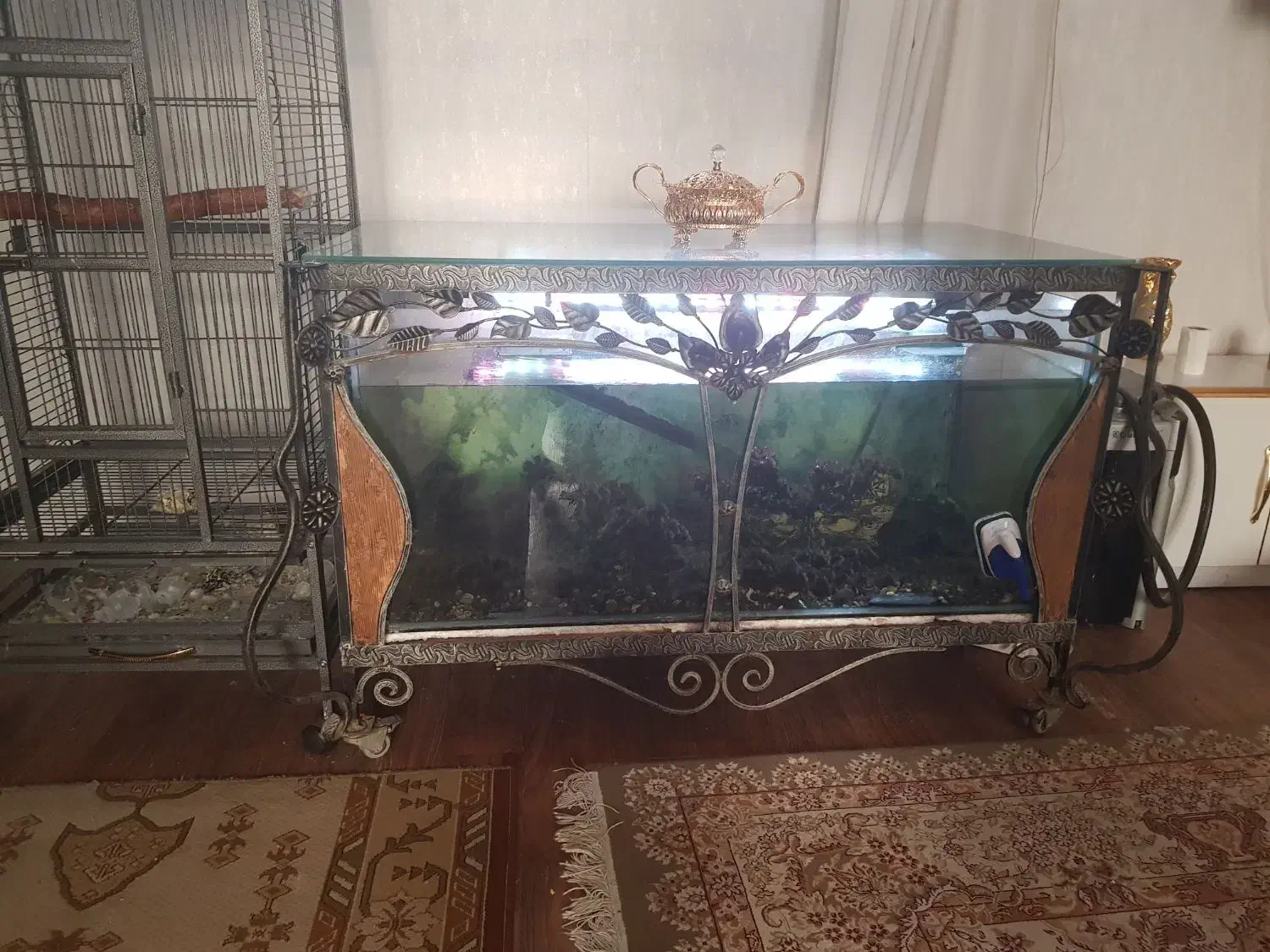 آکواریوم|ماهی|مشهد, خرمشهر|دیوار