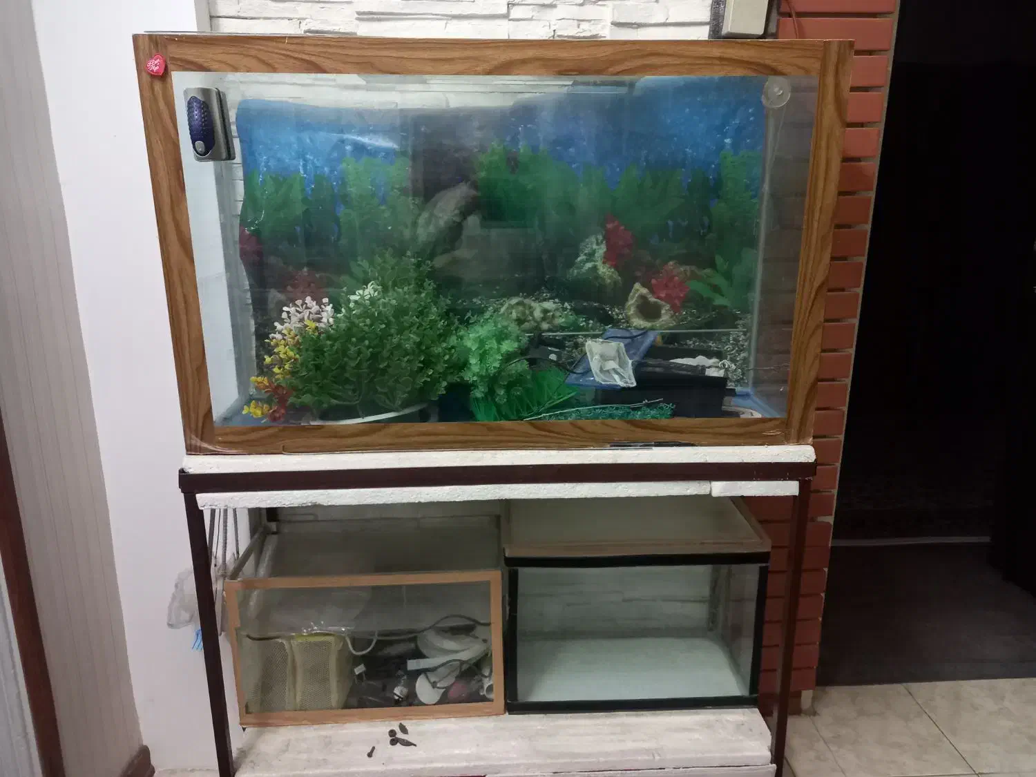 آکواریم|لوازم جانبی حیوانات|مشهد, امیریه|دیوار