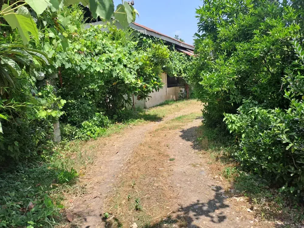 7 هزار متر مناسب ساخت شهرک ویلایی|فروش زمین و ملک کلنگی|لاهیجان, آهندان|دیوار