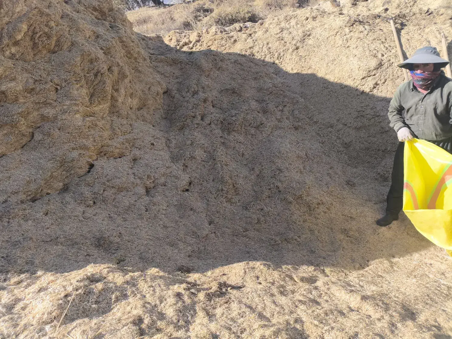 کاه گندم|خدمات باغبانی و درختکاری|ننور, |دیوار