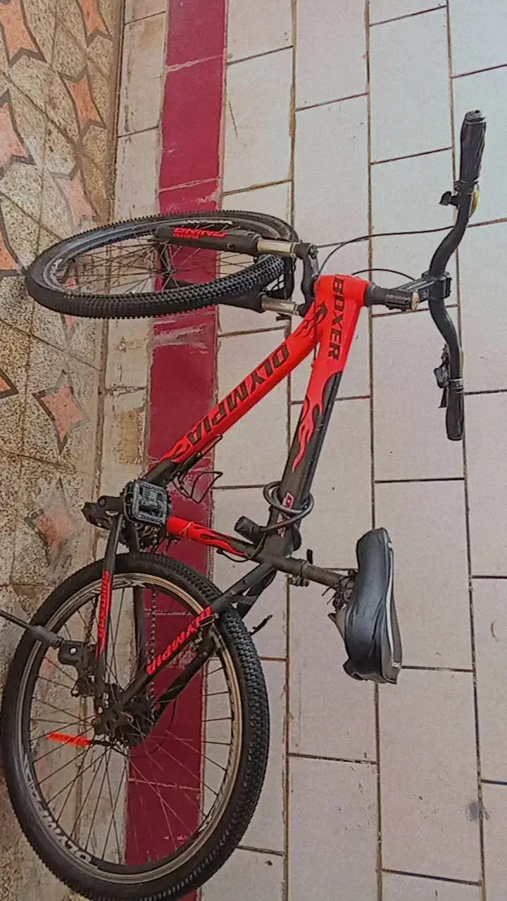 دوچرخه المپیا26|دوچرخه، اسکیت، اسکوتر|بندر ماهشهر, |دیوار