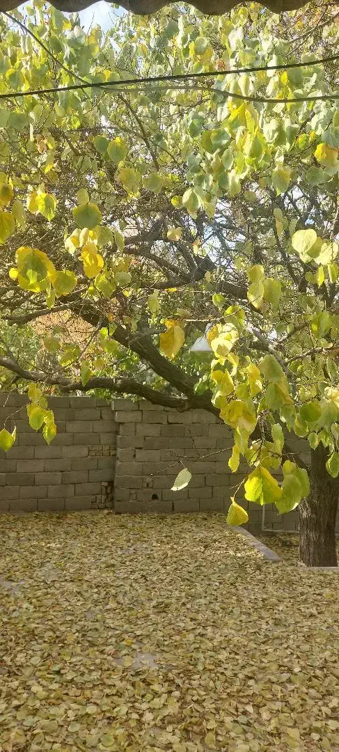 فروش خانه ویلایی واقع در هشتگرد روستای حاجی بیک|فروش خانه و ویلا|تنکمان, |دیوار