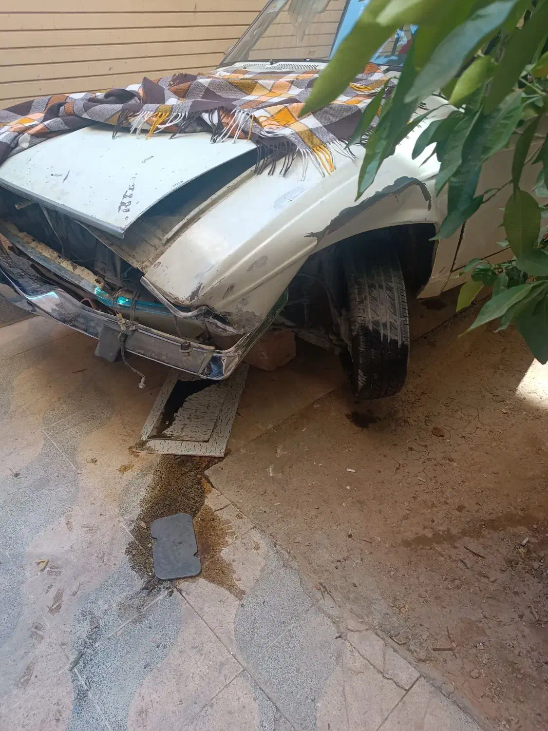 پیکان مدل ۷۹|خودرو سواری و وانت|شیراز, جوادیه|دیوار