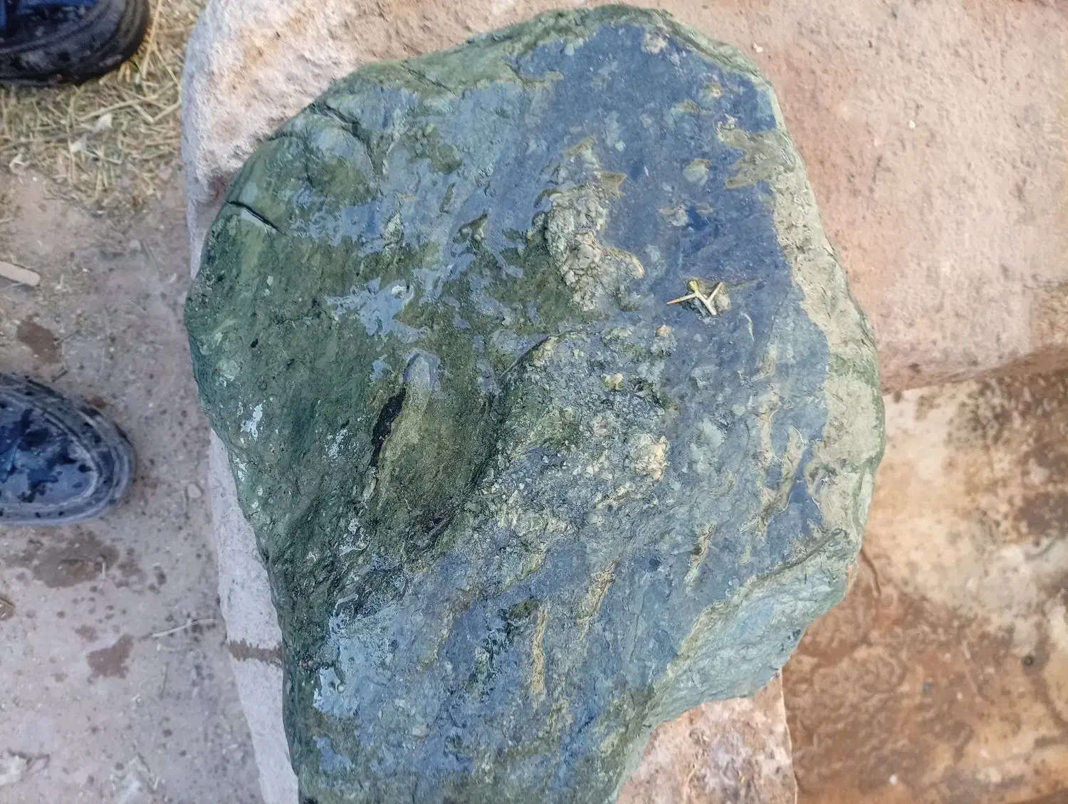 سنگ قیمتی|کلکسیون اشیاء عتیقه|درمیان, |دیوار