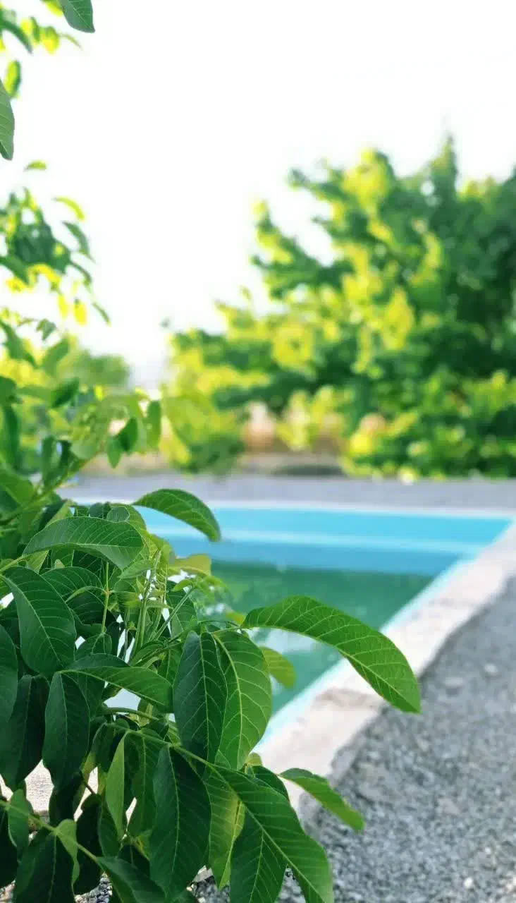 باغ شهری|فروش دفتر صنعتی، کشاورزی، تجاری|مرودشت, نقش رستم|دیوار