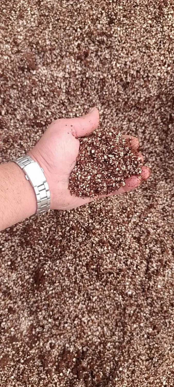 بستر کشت هیدروپونیک|گل و گیاه طبیعی|شاندیز, |دیوار