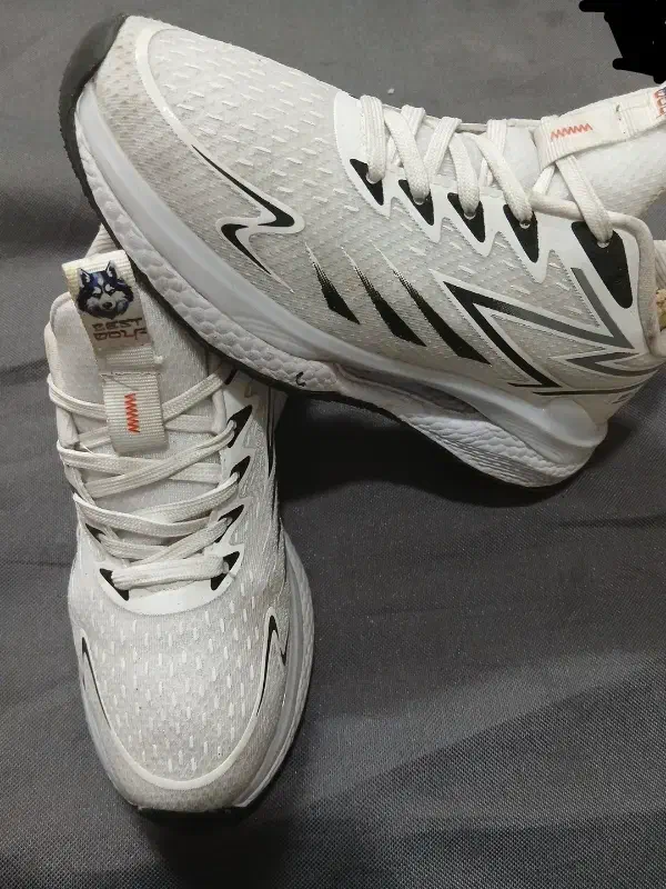 کتونی وولف WOLF اورجینال 43|کیف، کفش، کمربند|بومهن, |دیوار