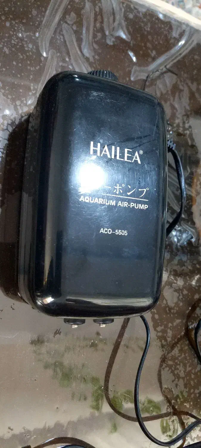 پمپ هوا  HAILEA   ACO-5505|ماهی|مشکین‌دشت, |دیوار