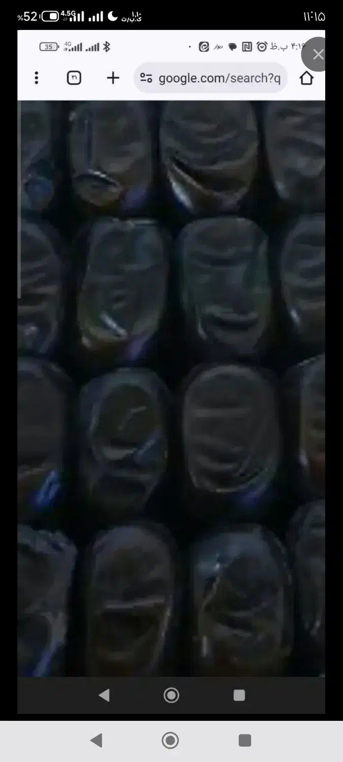 خرمای درجه یک تمیک وچهل تخم ۲۵۰مادری ۷/۸.۹۰۰|حراج|بم, |دیوار