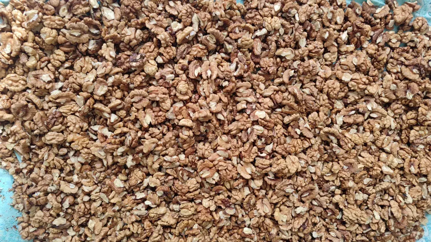 مغز گردو|خوردنی و آشامیدنی|بجنورد, |دیوار