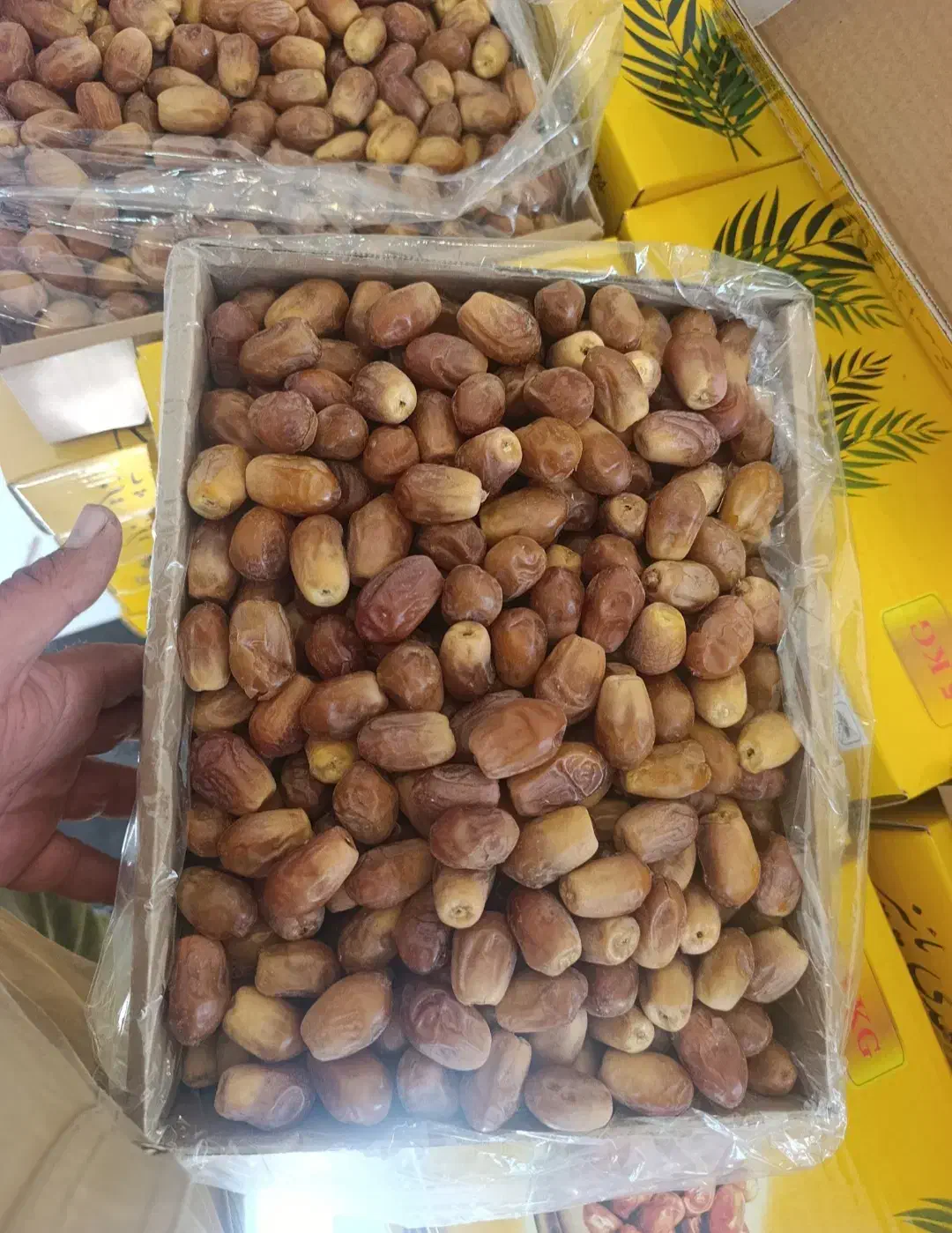 زاهدی درجه یک و دو|خوردنی و آشامیدنی|خفر, |دیوار