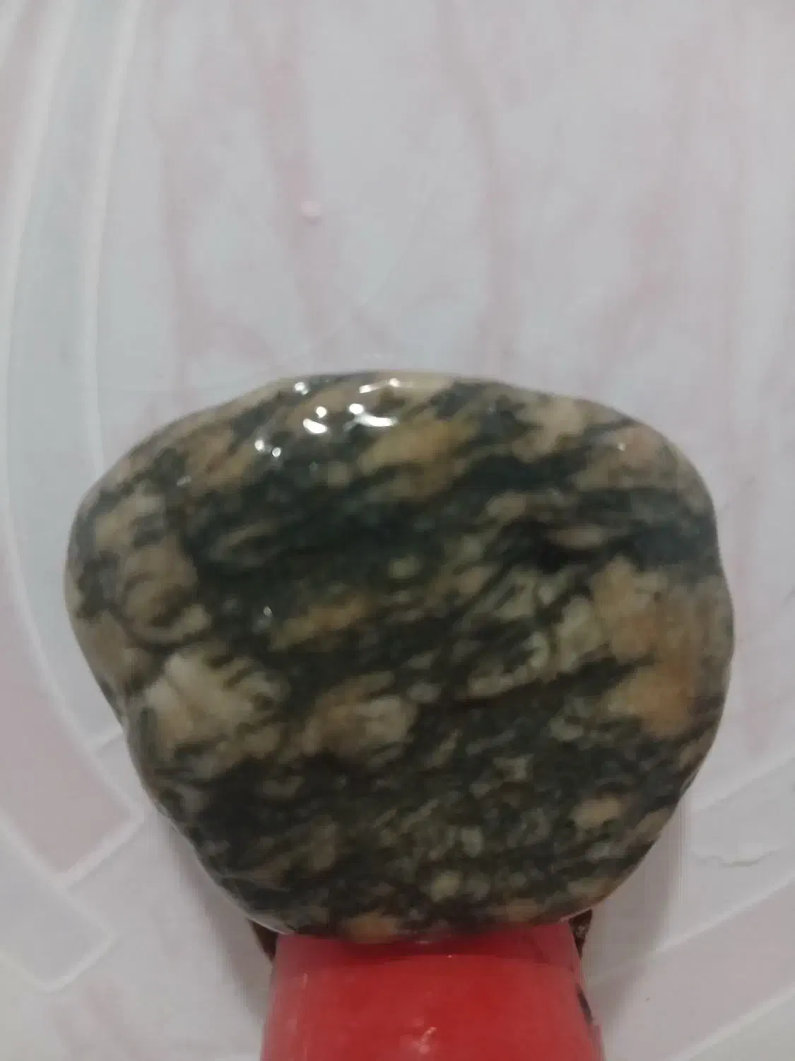 زیبایی طبیعت|جواهرات|رشت, آزادگان|دیوار