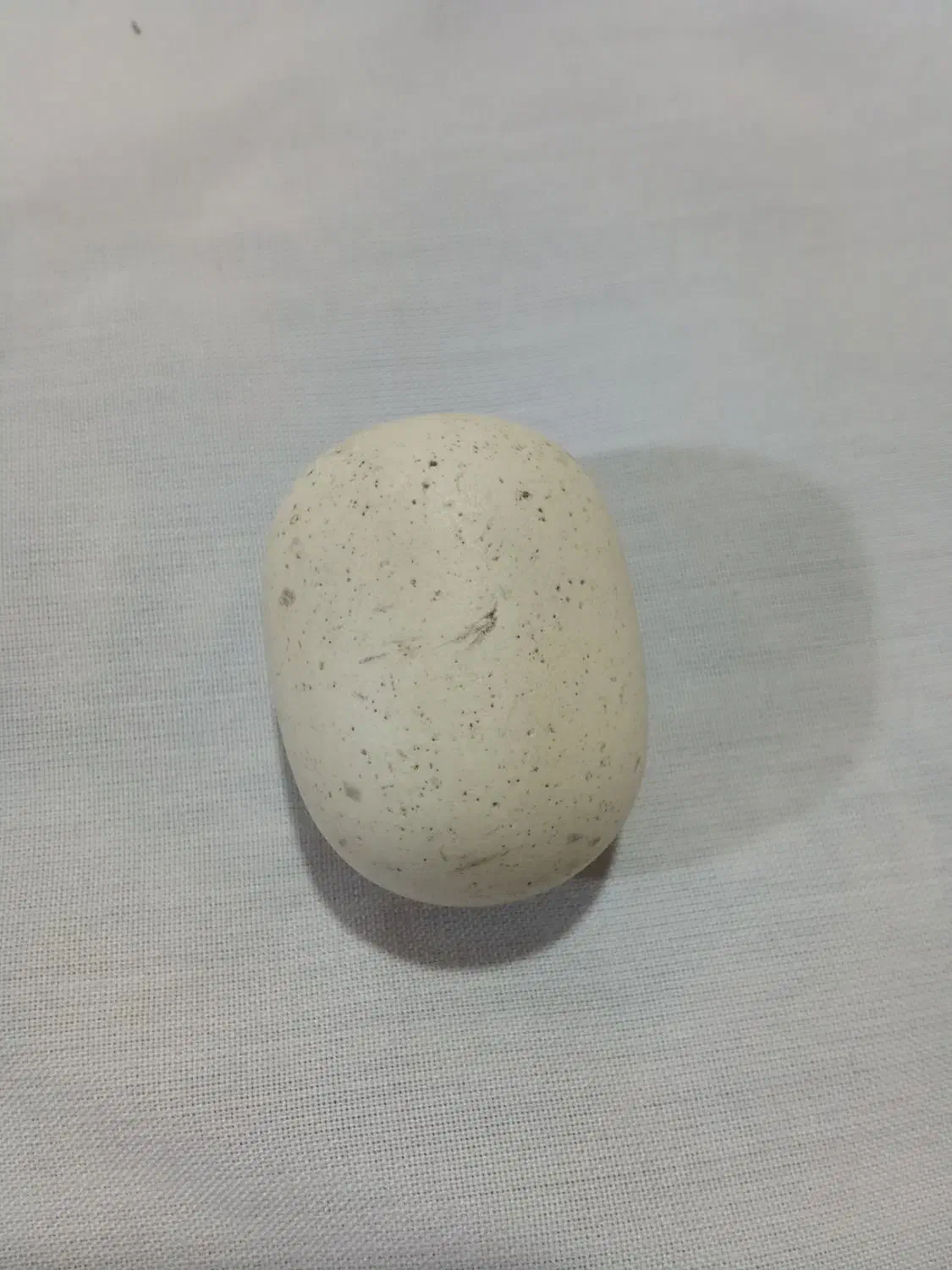 سنگ الماس آسیاب|جواهرات|تبریز, |دیوار