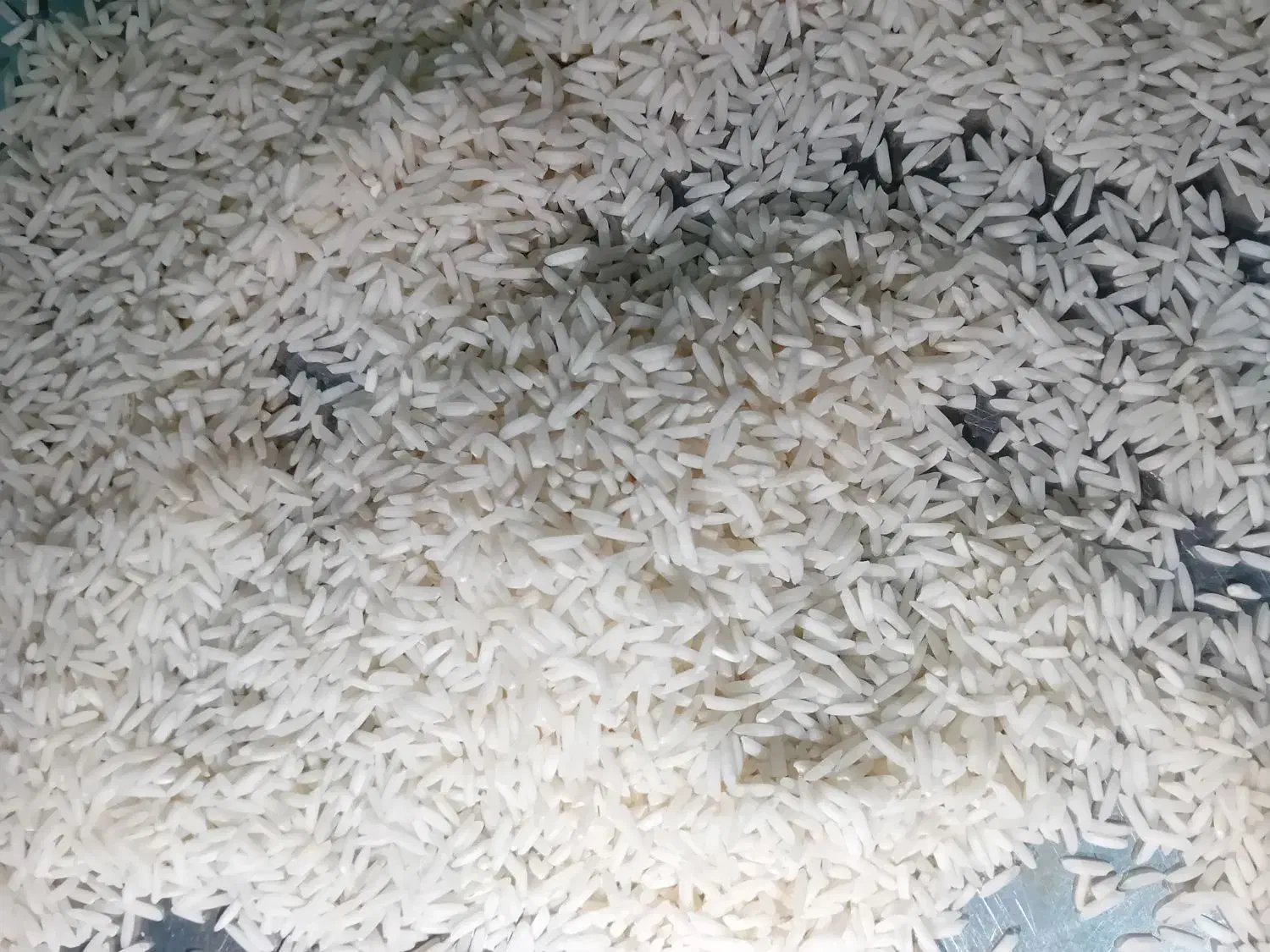 جمشید برنج|خوردنی و آشامیدنی|لاهیجان, لاشیدان|دیوار