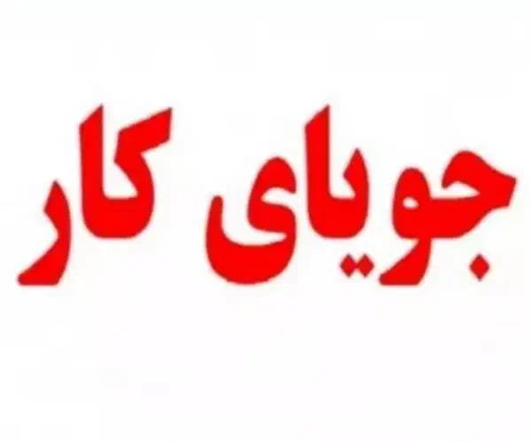 جویای کار ادمینی هستم|فعالیت داوطلبانه|مرند, |دیوار