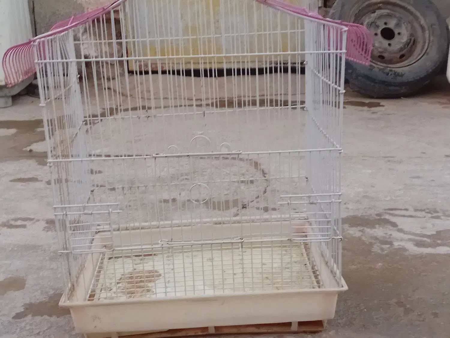 قفس پرنده سالم وخوب|لوازم جانبی حیوانات|سیب و سوران, |دیوار