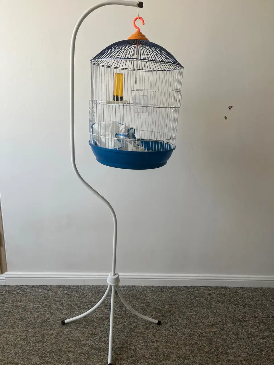 قفس پرنده نو|لوازم جانبی حیوانات|زنجان, |دیوار