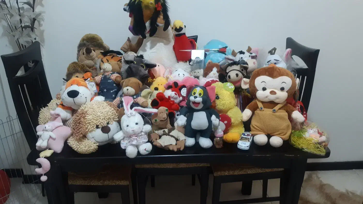 اسباب بازی ( عروسک )|اسباب‌بازی بچه|پردیس, فاز ۳|دیوار