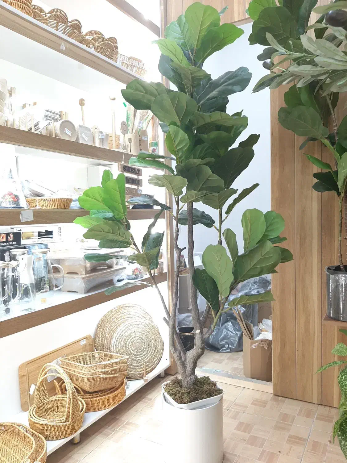 انواع درختچه های مصنوعی|گل مصنوعی|خورموج, |دیوار