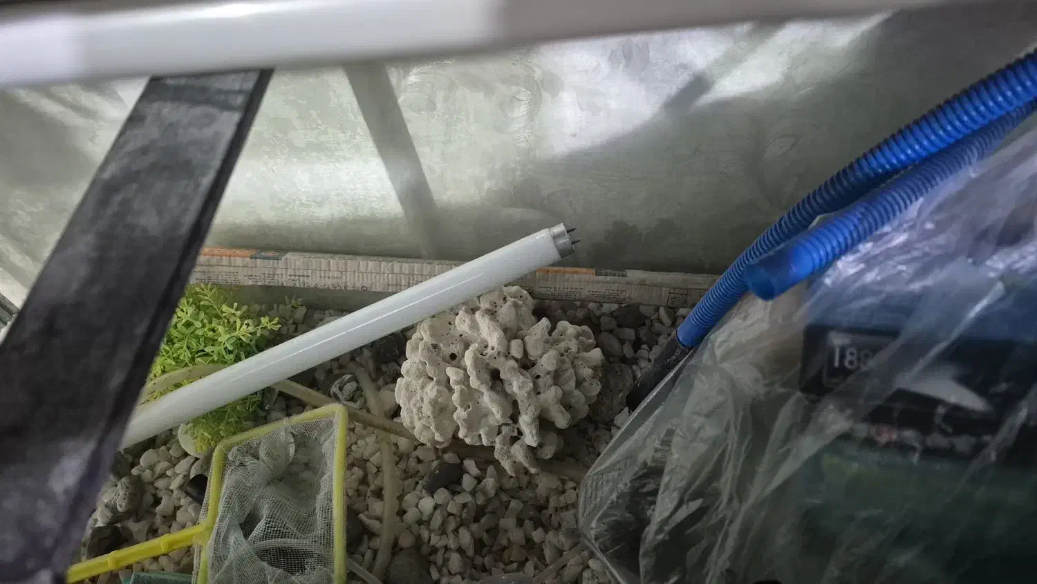 آکواریوم ۱۱۰در ۵۰ در ۴۰|ماهی|زنجان, |دیوار