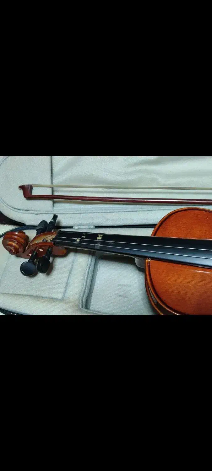 ویالون|ویولن|ارومیه, |دیوار