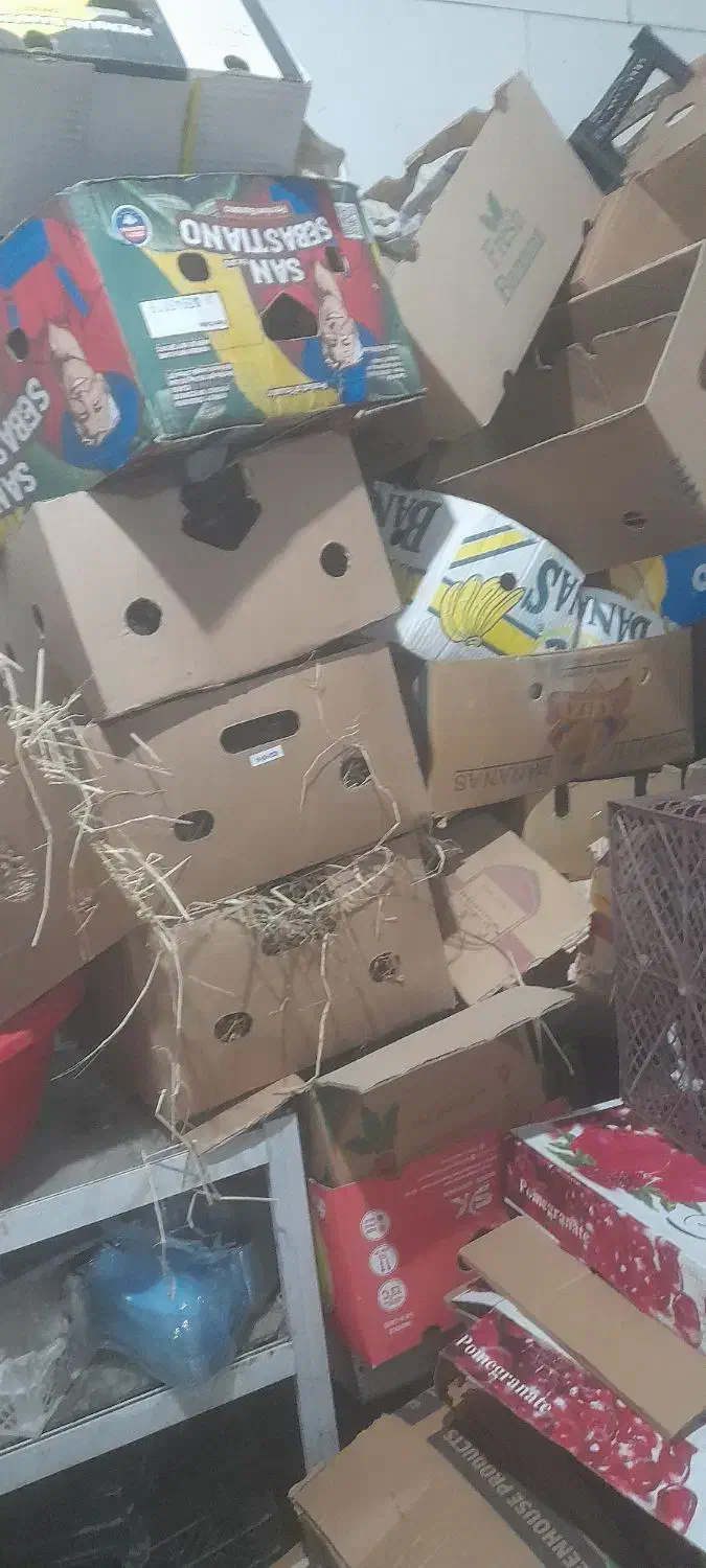 کارتن موزی درجه|حراج|جیرفت, |دیوار