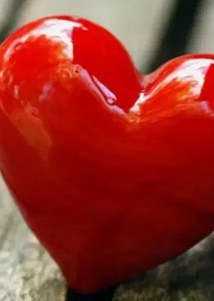 مدارک پیداشده|اشیا|میناب, |دیوار