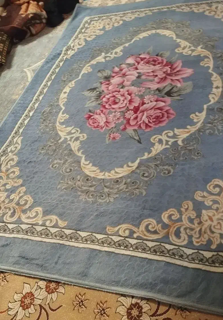 فرش مخمل ۶ متری|گلیم، جاجیم، گبه|سمنان, |دیوار