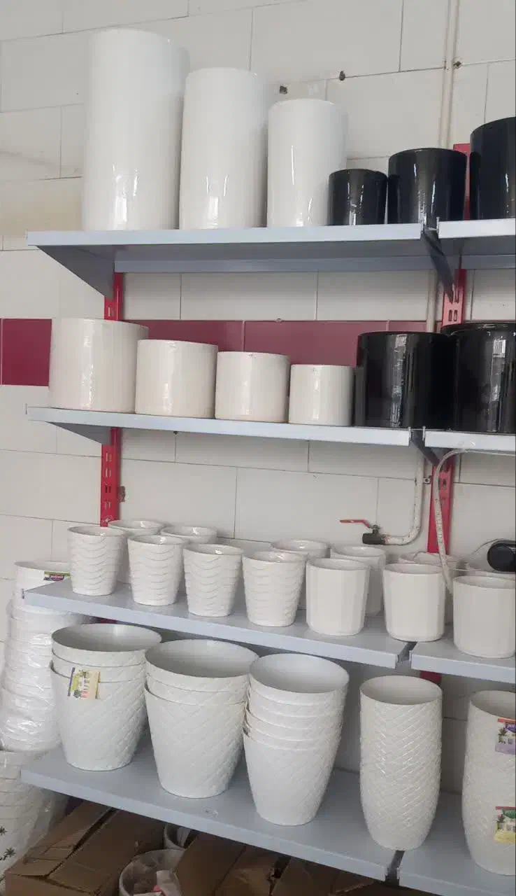 گل وگیاه|گل و گیاه طبیعی|یزد, |دیوار