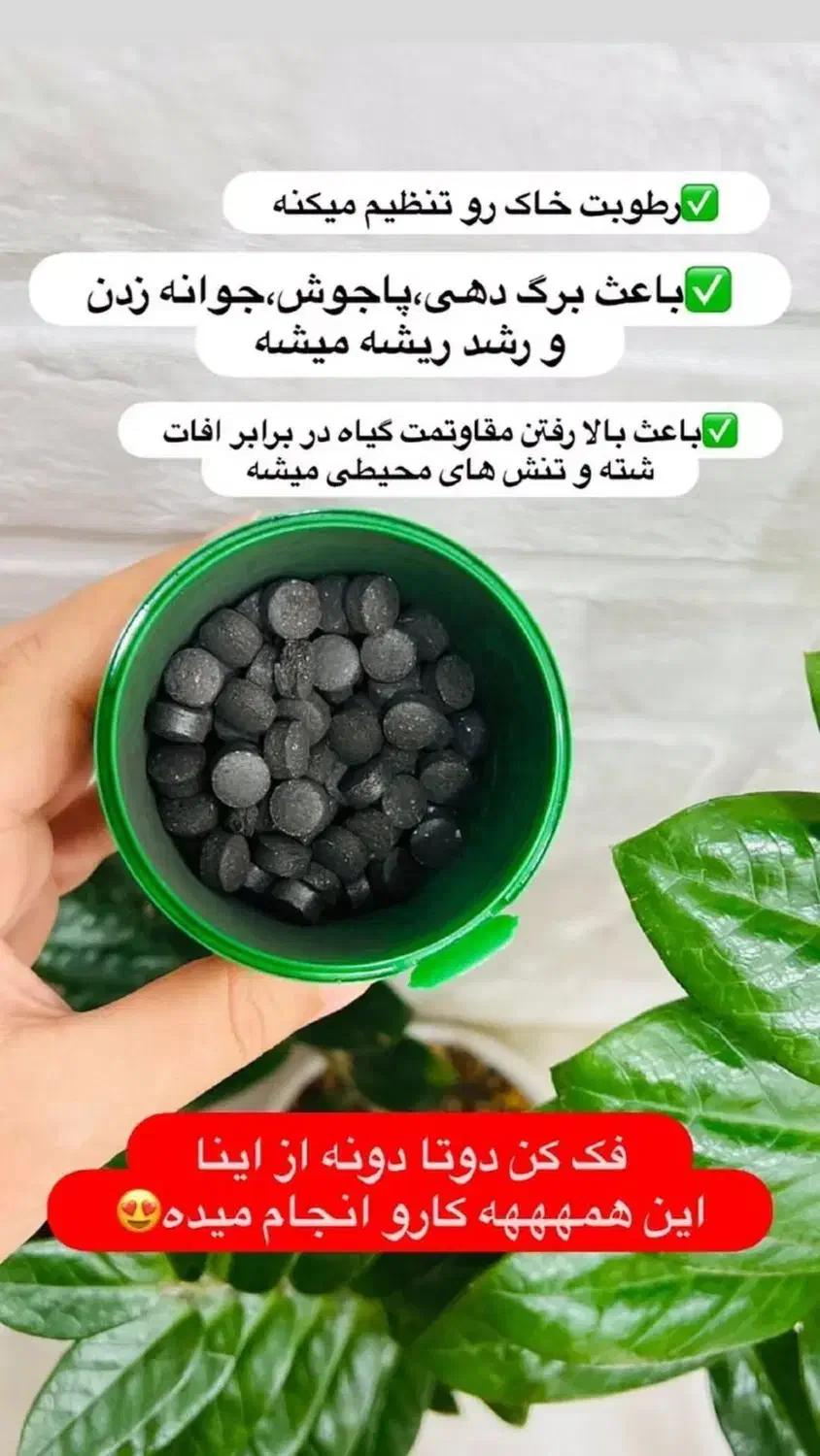 قرص کود اورگانیک|خدمات باغبانی و درختکاری|بندرعباس, |دیوار