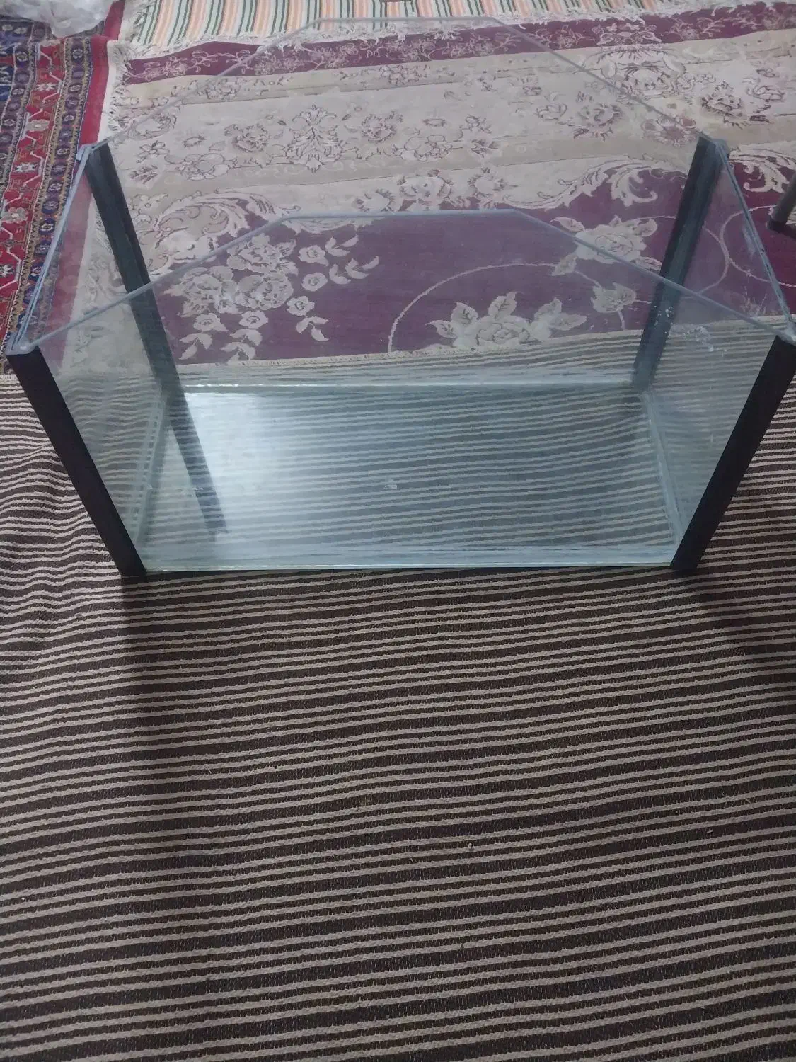 آکواریوم با لوازم|ماهی|نجفآباد, جوزدان|دیوار