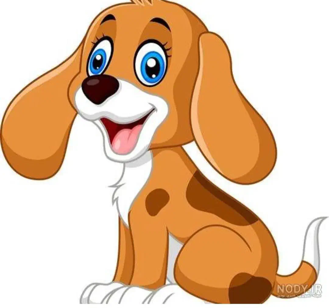 پیدا شده|سگ|قروه, |دیوار