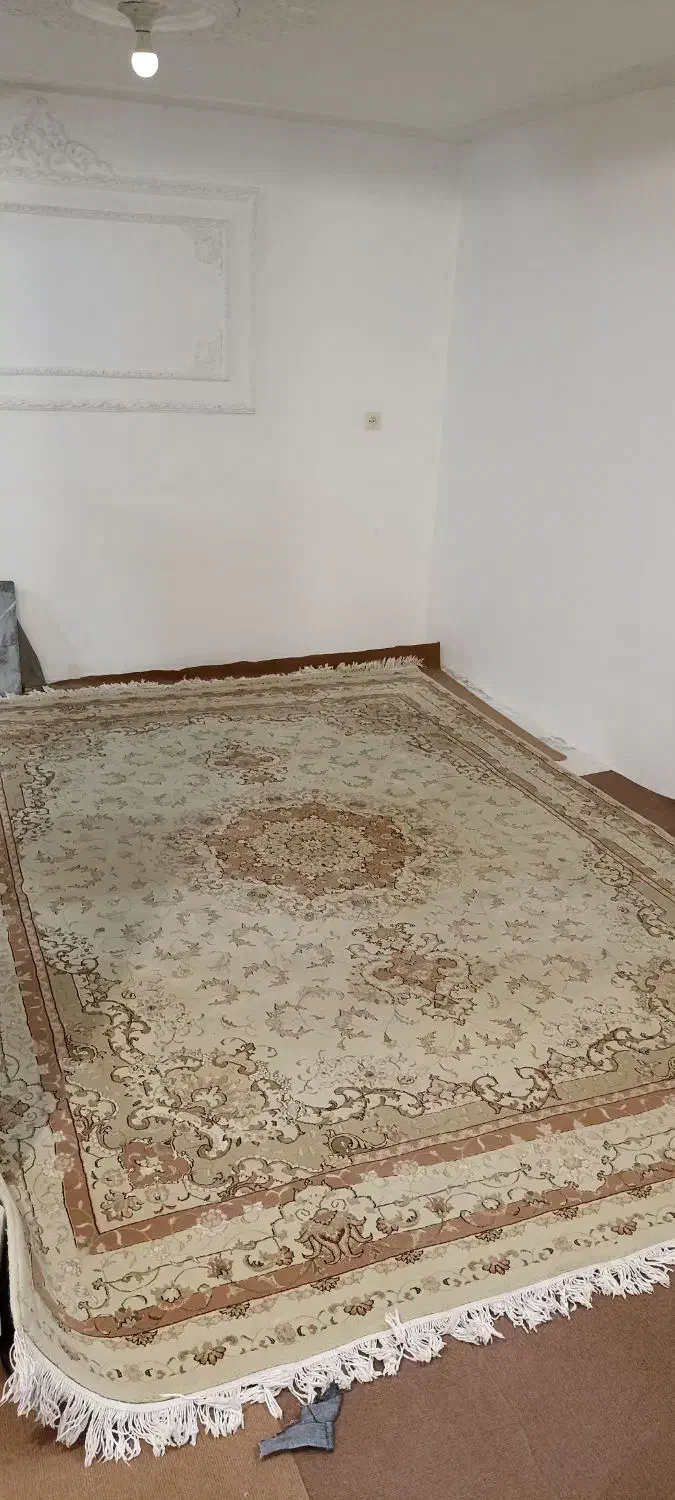 فرش ۹ متری|فرش|سنندج, |دیوار