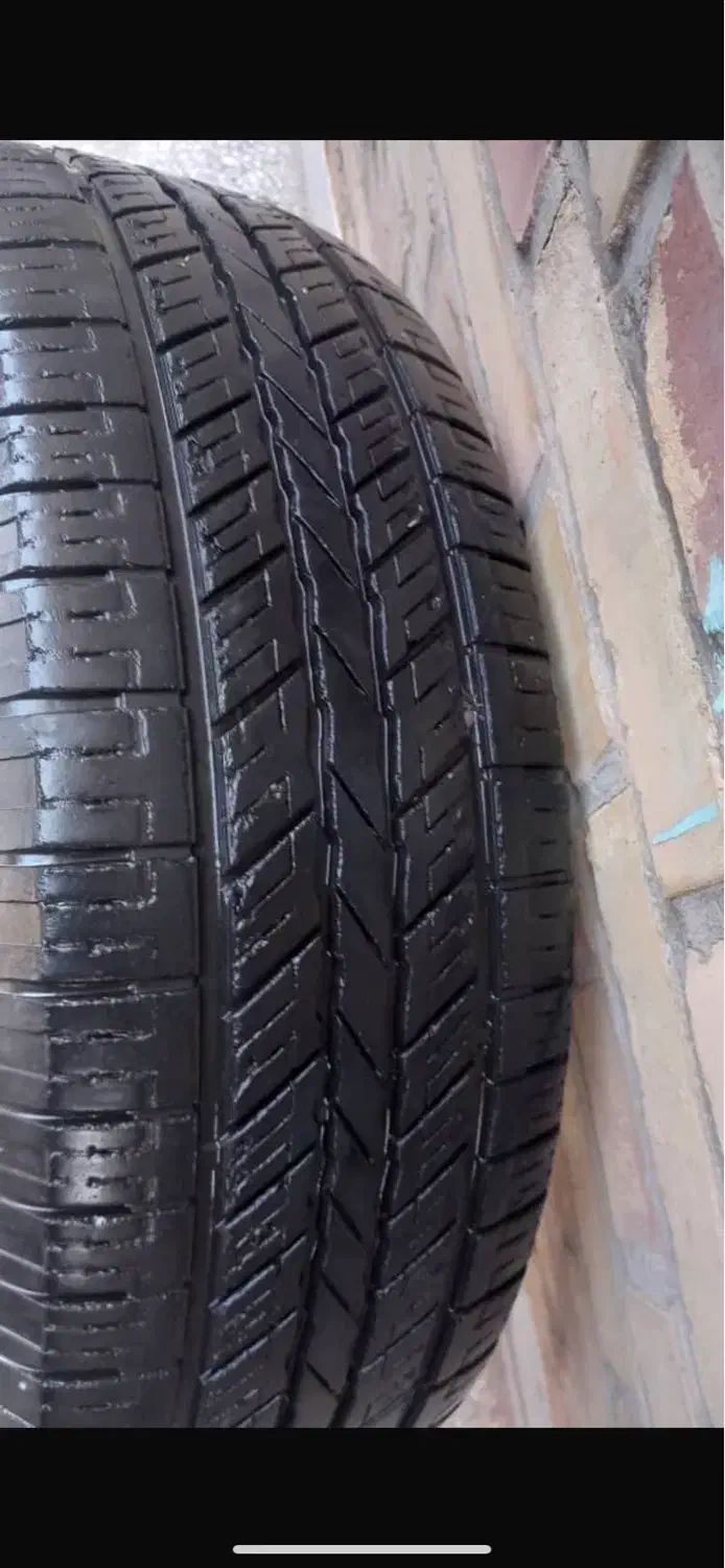 لاستیک|قطعات یدکی و لوازم جانبی|کاشان, الغدیر|دیوار