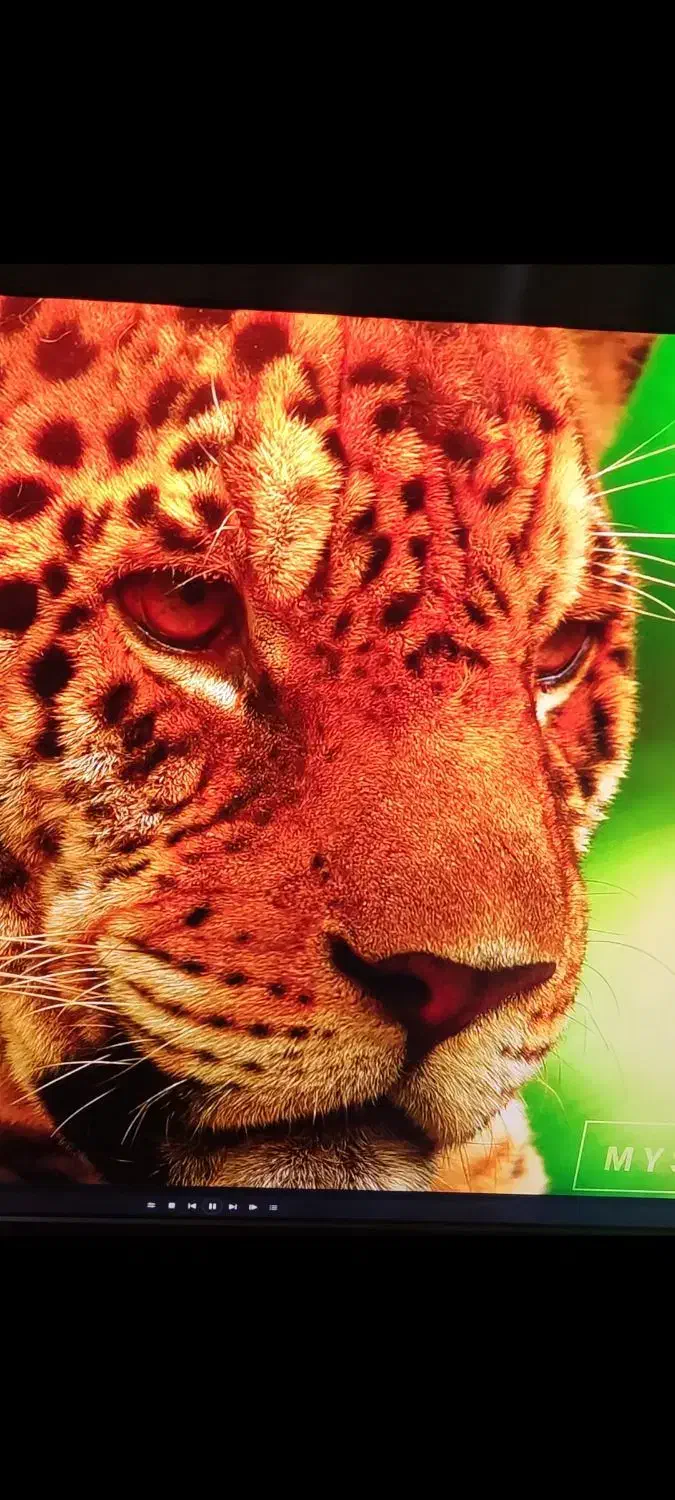 لپتاپ  گیمینگ   ایسر   Predator   فورکی   1080|رایانه همراه|تهران, امام زاده عبدالله|دیوار