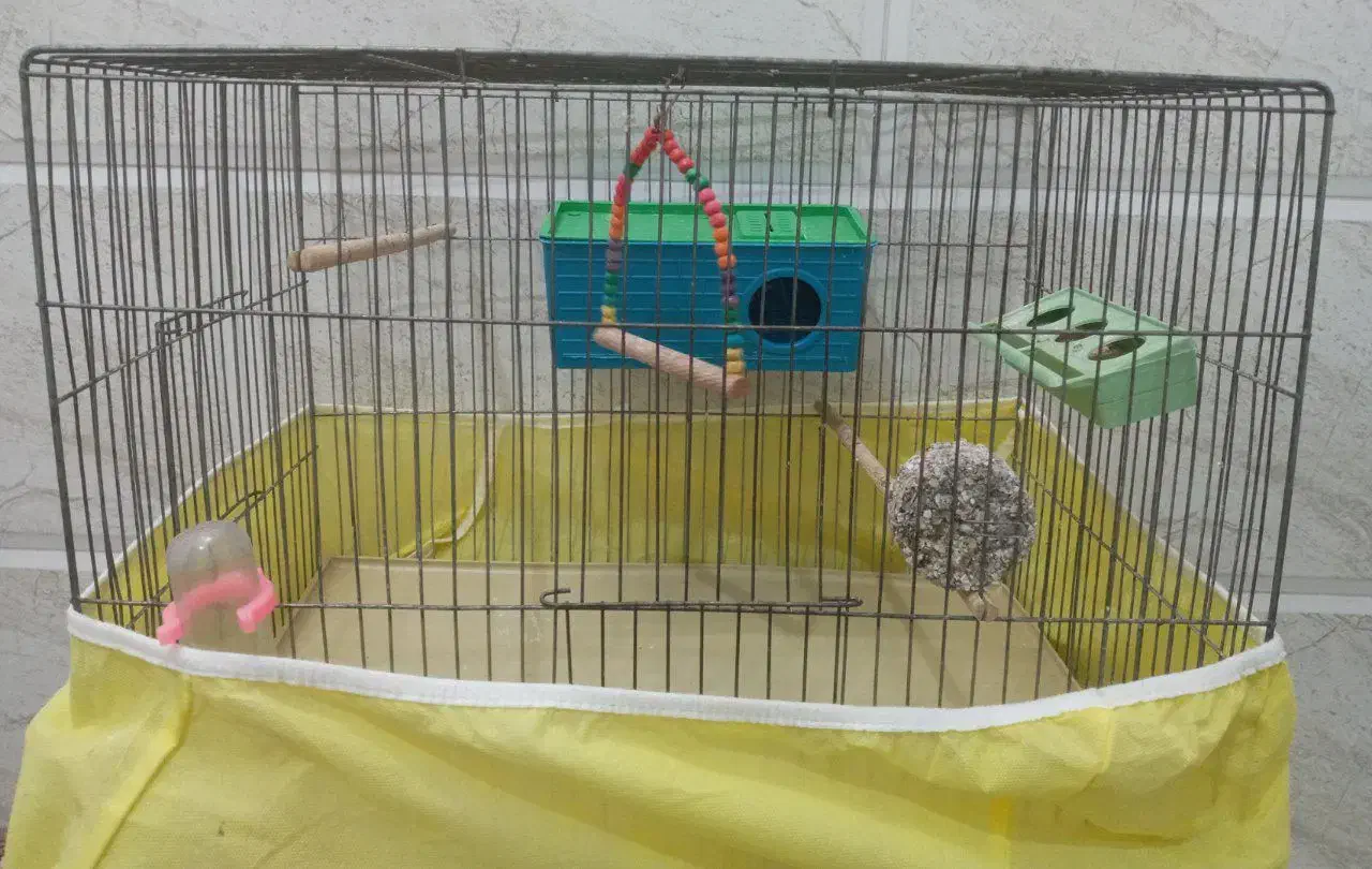 قفس پرنده|لوازم جانبی حیوانات|مهریز, |دیوار