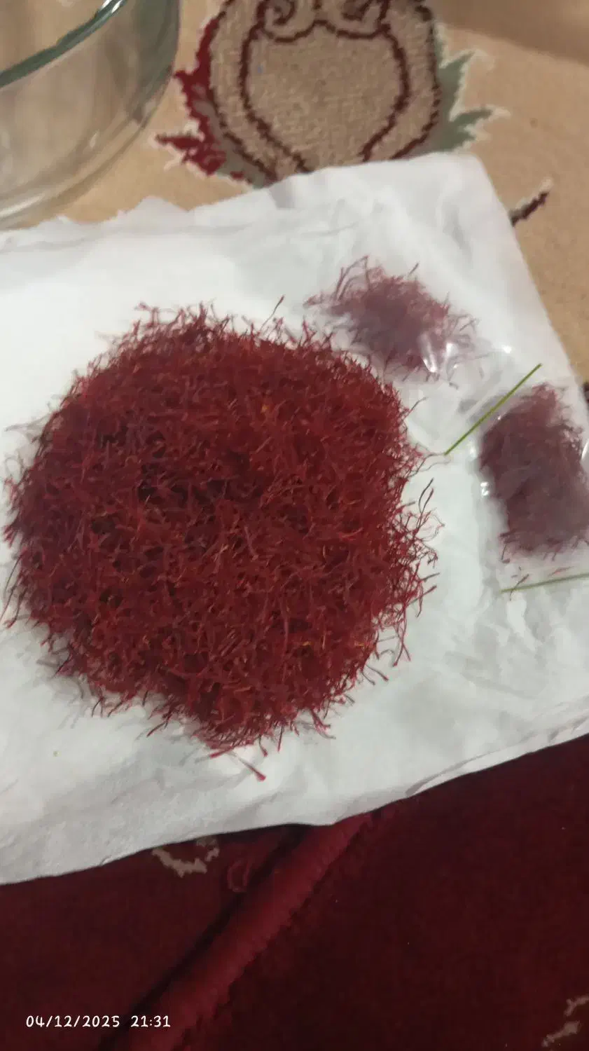 زعفران|گل و گیاه طبیعی|الشتر, |دیوار