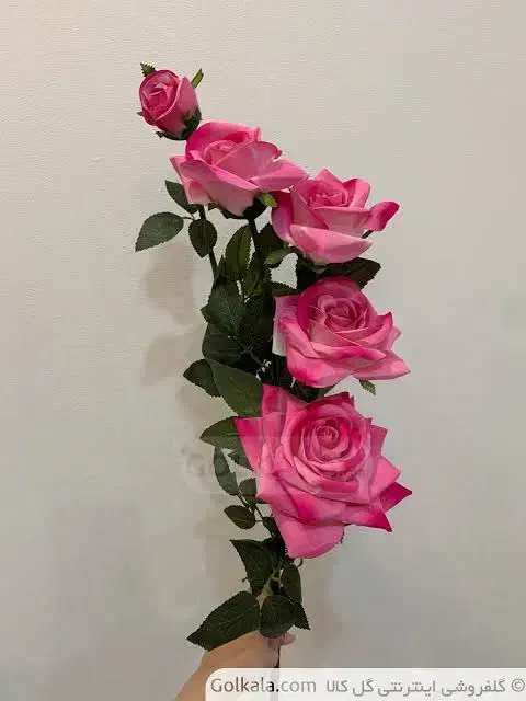 مربیگری و کار در خانه نظافت|خدمات آموزشی|ایذه, |دیوار